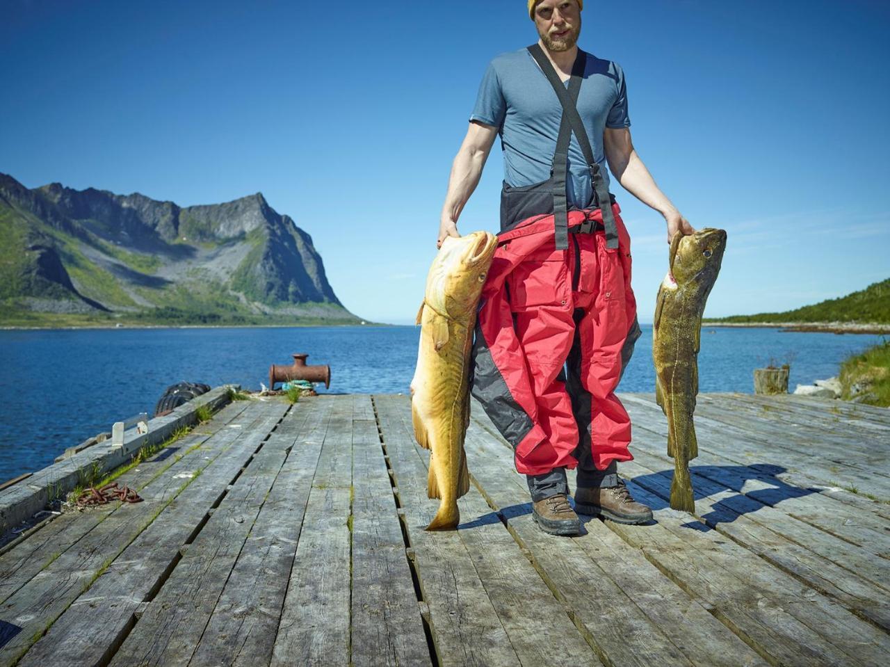 Northern Light Hotell/Camp Steinfjord Berg  Экстерьер фото