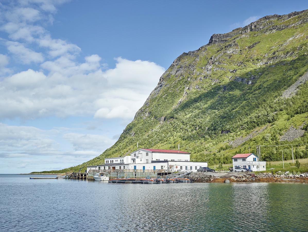 Northern Light Hotell/Camp Steinfjord Berg  Экстерьер фото