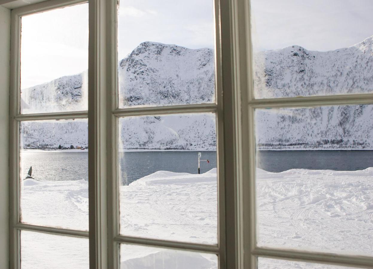 Northern Light Hotell/Camp Steinfjord Berg  Экстерьер фото