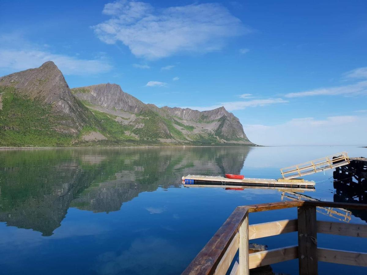 Northern Light Hotell/Camp Steinfjord Berg  Экстерьер фото