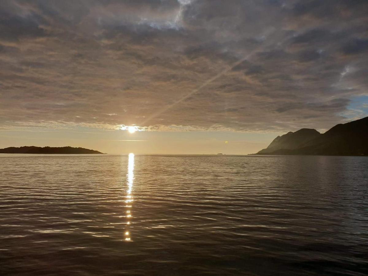 Northern Light Hotell/Camp Steinfjord Berg  Экстерьер фото